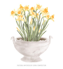 Daffodils spring watercolor composition