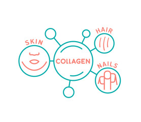 Collagen for nails, skin and hair line icon.