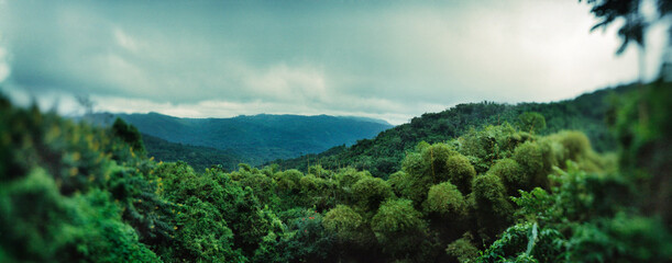 Elevated view of trees in valley landscape, Vinales Valley, Vinales, Cuba.