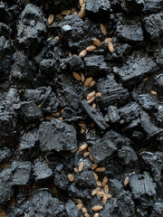 Close-up of burnt charcoal pieces with scattered natural seeds, showing a detailed organic texture