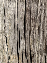 Detailed Wooden Texture with Deep Cracks