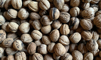 A collection of walnuts showing detailed rough textures