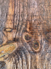 Close-up of a weathered wooden surface with deep knots, cracks, and rich grain texture, showcasing natural imperfections