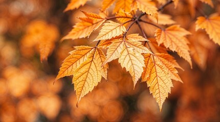 Watercolor Painting of Autumn Leaves: Soft Bokeh Background with Seamless Gradient and Delicate