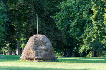 hay bales in a field in Lübbenau, Germany
