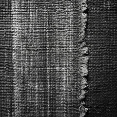 High-Resolution AI-Generated Monochrome Woven Fabric Texture with Frayed Edge