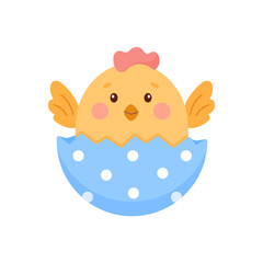 Cute  little chicken hatched from an egg.