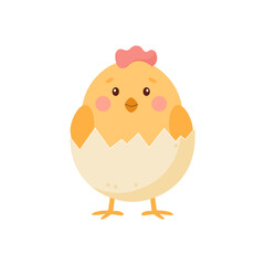 Cute  little chicken hatched from an egg.