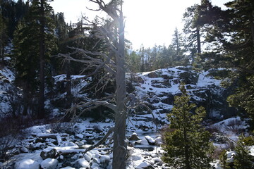 beautiful river and waterfall at Lake Tahoe in winter