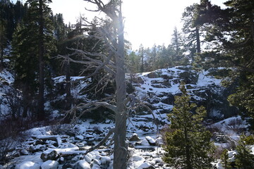 beautiful river and waterfall at Lake Tahoe in winter