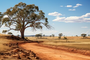 Fototapeta premium Beautiful desert with trees - African landscape