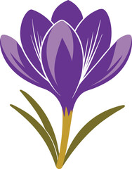 crocus flower vector silhouette illustration. Crocus vector sketch illustration isolated on white background (11).eps