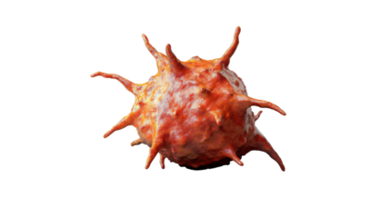 Virus floating on transparent background showing spikes