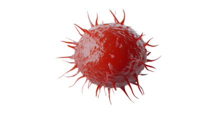 Red virus cell rotating on transparent background, microscopic view