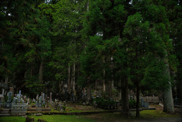 Ancient cemetery at sunset inside a forest, on Mount Koya, Okuno-in or Okunoin cemetery is a sacred area cemetery. In Wakayama prefecture, south of Osaka in Japan.