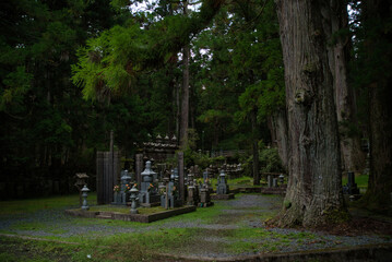 Ancient cemetery at sunset inside a forest, on Mount Koya, Okuno-in or Okunoin cemetery is a sacred area cemetery. In Wakayama prefecture, south of Osaka in Japan.