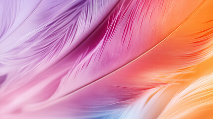 Fototapeta premium A close-up of soft, fluffy feathers in a vibrant gradient of pastel colors.