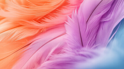 Obraz premium A close-up of soft, fluffy feathers in a vibrant gradient of pastel colors.