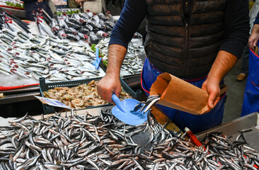 A man sells fresh fish at the market. The fisherman sells anchovies. Different types of fish for sale. 
