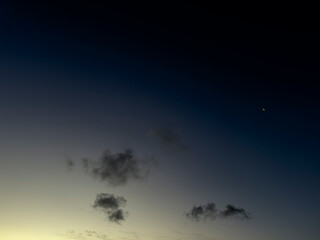 night sky and tree