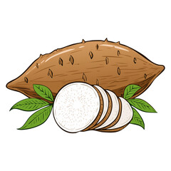 Tapioca root with leaves vector color illustration in line art style. Sketch drawing of cassava plant for making bubble tea. For packaging and design.