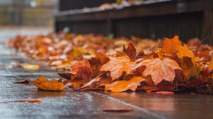 A close-up view of vibrant orange and yellow autumn leaves gathered on a wet pavement, creating a colorful and serene fall scene.