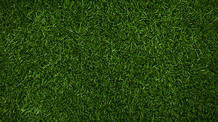 Obraz premium Lush green grass texture provides a natural, vibrant, and soothing visual element, perfect for backgrounds or adding an organic touch.