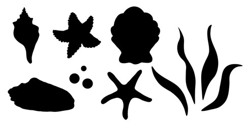 Vector silhouette of shells, starfish and seaweed. Illustrations of the sea underwater world drawn with black ink. Black outline icon of shell and mollusks