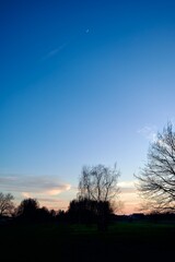 Obraz premium sunset in the forest