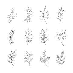 A minimalist set of botanical drawings featuring delicate plant elements. Great for branding, stationary, textile design, and fine art.