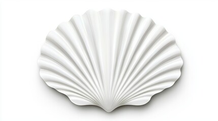 Elegant White Shell with Smooth Curves and Textured Patterns