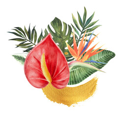 Watercolor clipart Anthurium and srelitzia tropical flowers . Hand drawn isolated on white background illustration, decoration, card, decor, stickers. arrangements for greeting or invitation design