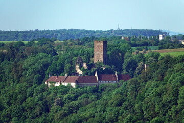 Fototapeta premium Burg Guttenberg am Neckar