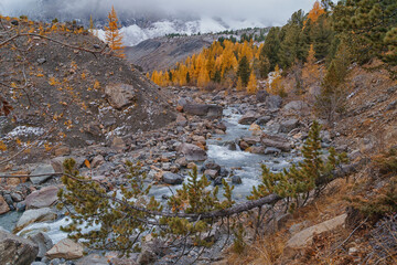 View the Aktru Valley in Altai Mountains in Siberia, Altai Republic, Russia