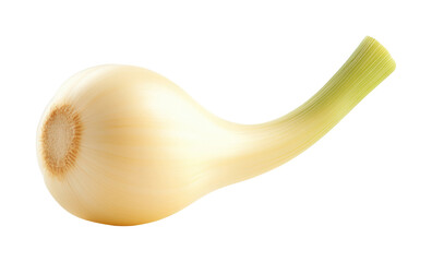 Harvesting fresh scallions farm field food isolated on transparent background