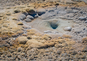 Thermophile deposits in a sma;; hot spring