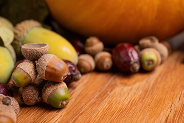 Autumn still life with acorns, rose hips, and pumpkin on wooden surface

