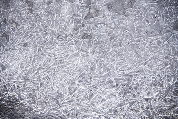 Textures and shapes created by nature in the winter