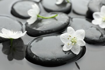 Spa stones and flowers in water, closeup