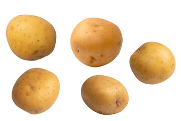 A group of fresh tasty potato isolated on white background.