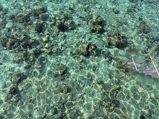 ladder from over water villa to coral reef in the ocean 