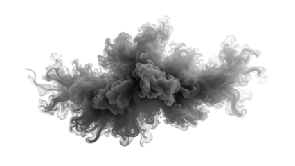 An isolated smoke plume is dense and detailed, resembling a cloud of pollution billowing smoke against a white background