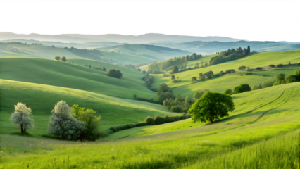 Rolling green hills under a serene sky at dusk