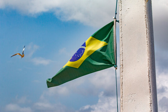 2025-01-13_Rio_Amazonas_Brasil
