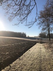Weg bei Frost