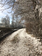 Weg im Frost und Sonne