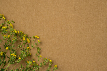Flowers on fabric background. Flat lay, top view. Copy space