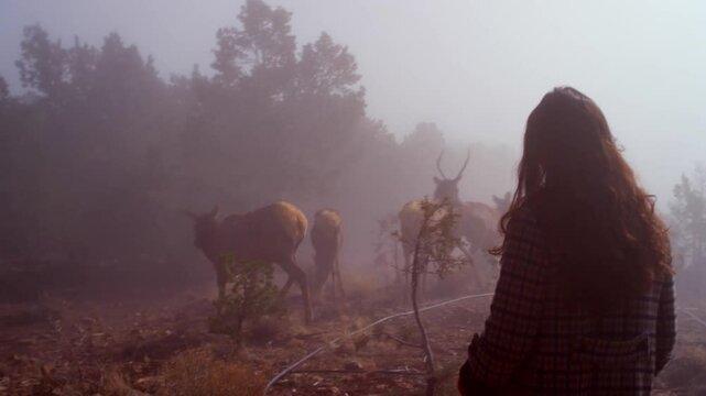 a woman walks near deer in a foggy field