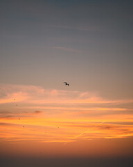 sunset on the beach