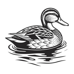 Duck on water illustration, woodcut style, detailed line drawing, hand drawn style isolated on a white background